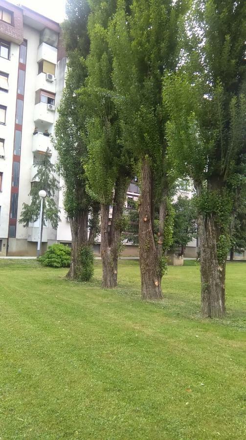 New Studio Apartment Sun With Free Parking Zagreb Eksteriør billede